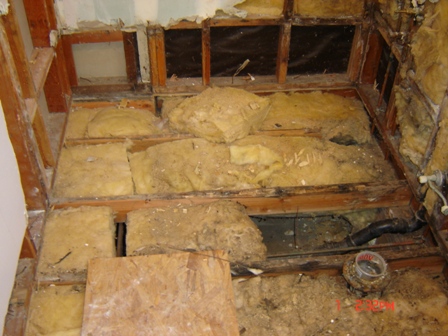tearing things out to the floor joists